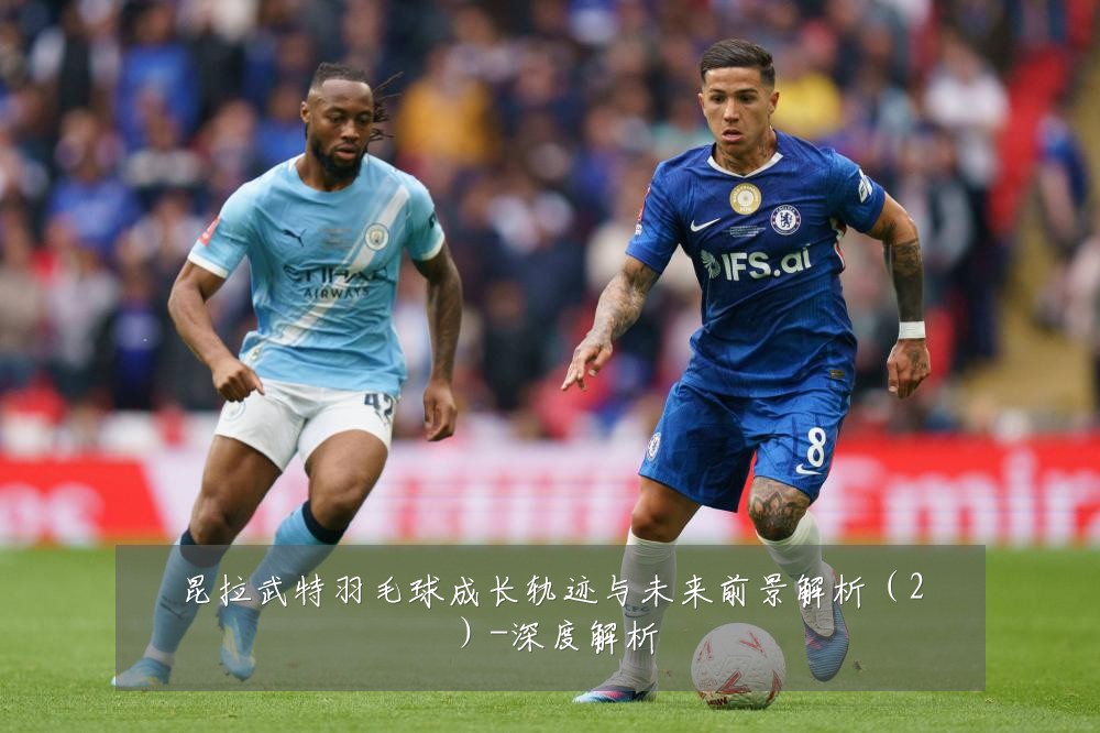 昆拉武特羽毛球成长轨迹与未来前景解析(2)-深度解析