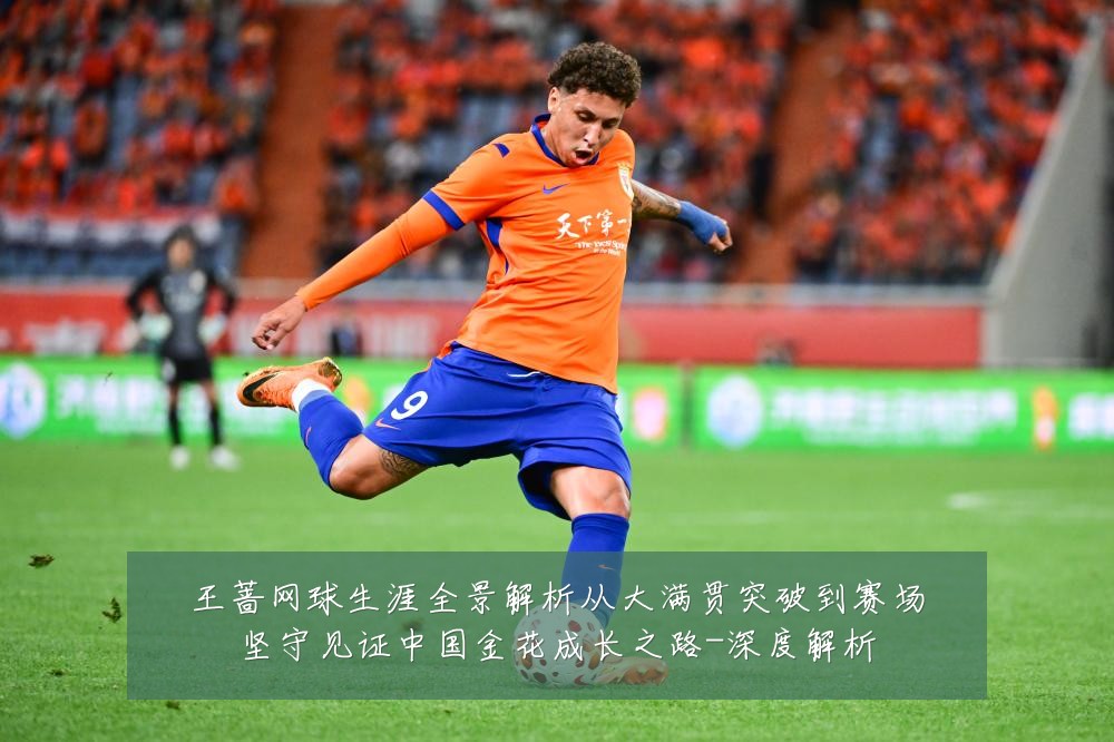 王蔷网球生涯全景解析从大满贯突破到赛场坚守见证中国金花成长之路-深度解析